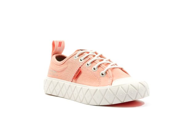 58609-661-M | ACE KIDS LO SUPPLY | MUTED CLAY – Image 2